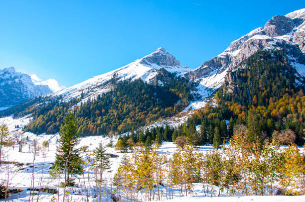 istock Winter in the Alps 1173548778