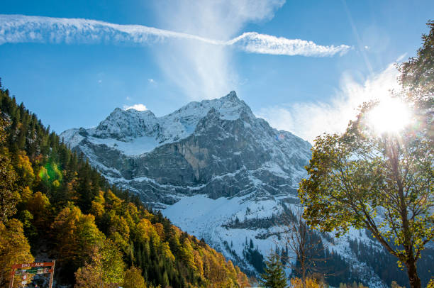 istock Winter in the Alps 1173549008