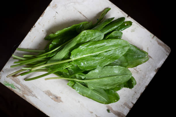 Fresh sorrel on a old wooden table with copy space stock photo