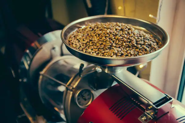 Photo of Roaster machine prepared coffee beans.  Process of coffee roasting in cafe. Ingridient for popular european drink. Brown bean inside box. Organic food. Close up shot.