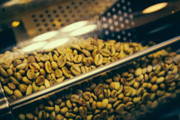 Photo of Roaster machine prepared coffee beans.  Process of coffee roasting in cafe. Ingridient for popular european drink. Brown bean inside box. Organic food. Close up shot.