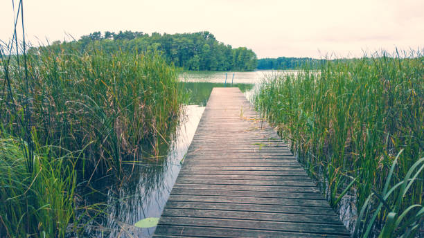 istock Boat launch on a calm lake overlooking islands - uckermark, germany 1173565494