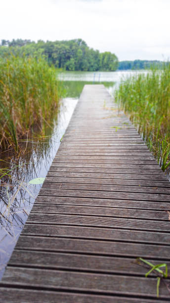 istock Boat launch on a calm lake overlooking islands - uckermark, germany 1173565545
