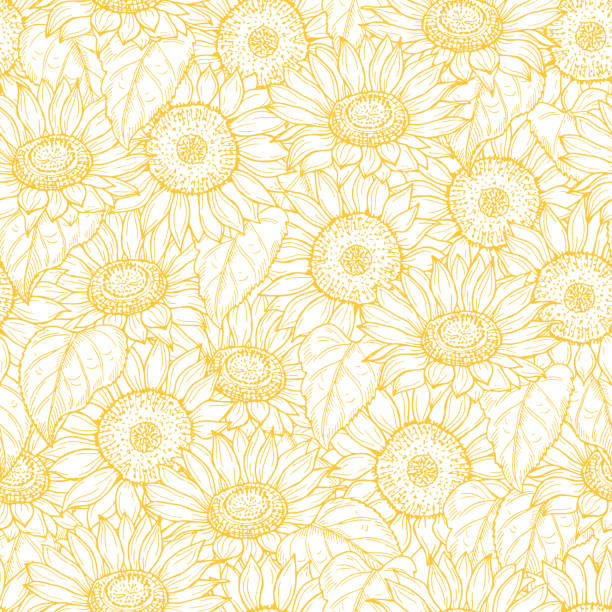 ilustrações de stock, clip art, desenhos animados e ícones de sunflower seamless pattern. vector line yellow flowers texture background - sunflower field flower yellow
