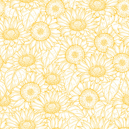 Sunflower seamless pattern. Vector line yellow flowers texture background. Illustration sunflower seamless pattern, floral spring