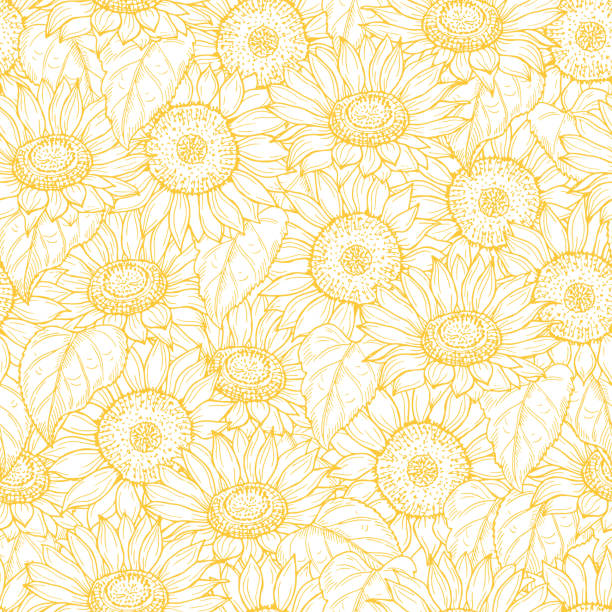 Sunflower seamless pattern. Vector line yellow flowers texture background Sunflower seamless pattern. Vector line yellow flowers texture background. Illustration sunflower seamless pattern, floral spring orange sunflower stock illustrations