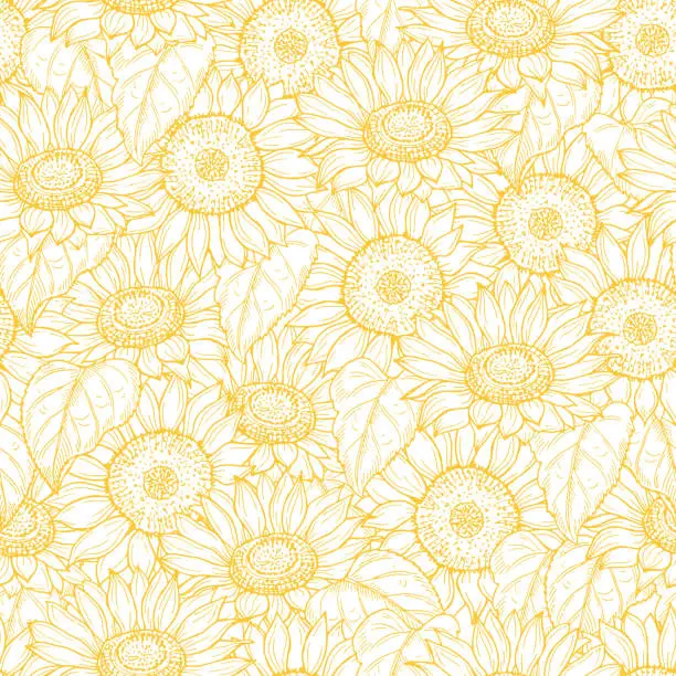 Vector illustration of Sunflower seamless pattern. Vector line yellow flowers texture background