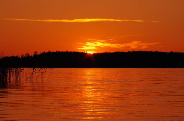 istock The sunset over water has almost hidden behind trees on the horizon 1173569351