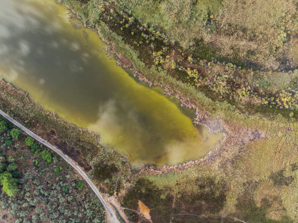 istock Dalaman lake aerial view, Mugla Turkey 1173570588