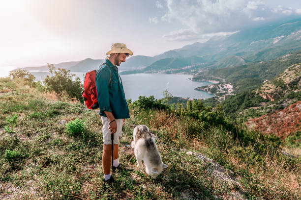 istock Trekking with the dog on mountain 1173570635