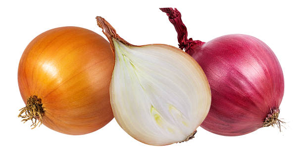 istock Red and white onions isolated on white background with clipping path 1173570696