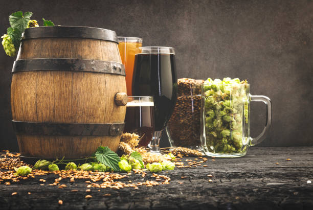 istock Glass of beer and its ingredients on table against blurred background 1173571706