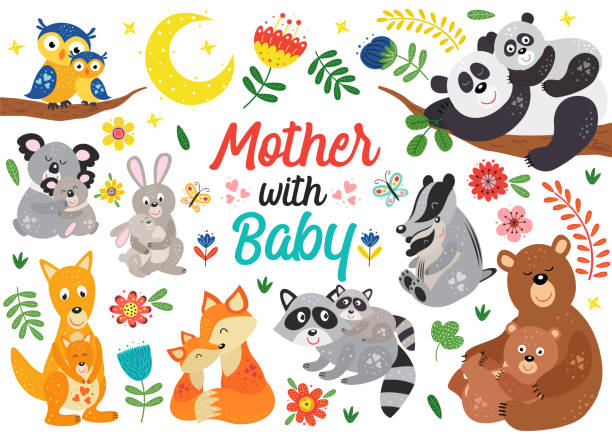 set of isolated animals mother with baby part 2 set of isolated animals mother with baby part 2 - vector illustration, eps animal family stock illustrations
