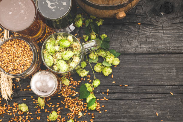 bière en fût et en verre avec ingrédients de brassage. - rustic beer brewery indoors photos et images de collection