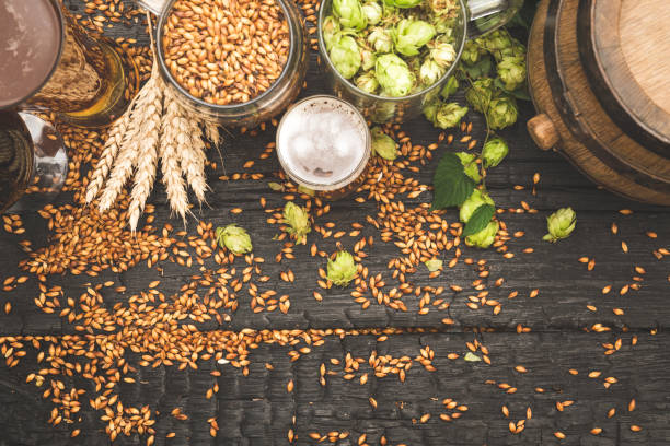 barrel and glass beer with brewing ingredients. - rustic beer brewery indoors imagens e fotografias de stock