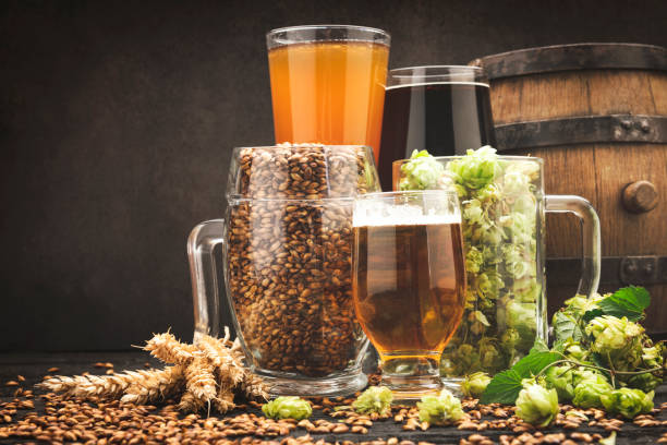 istock Glass of beer and its ingredients on table against blurred background 1173572937