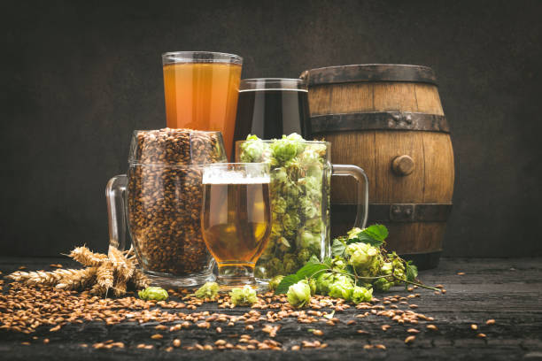 istock Glass of beer and its ingredients on table against blurred background 1173572939