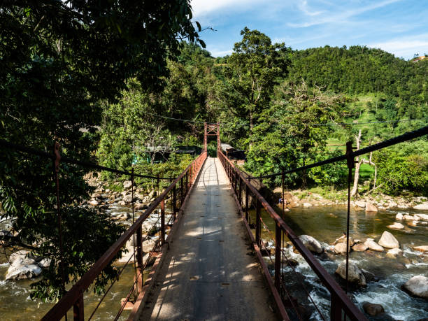 istock Vietnam Sapa old Brigde in the Jungle view 1173574015