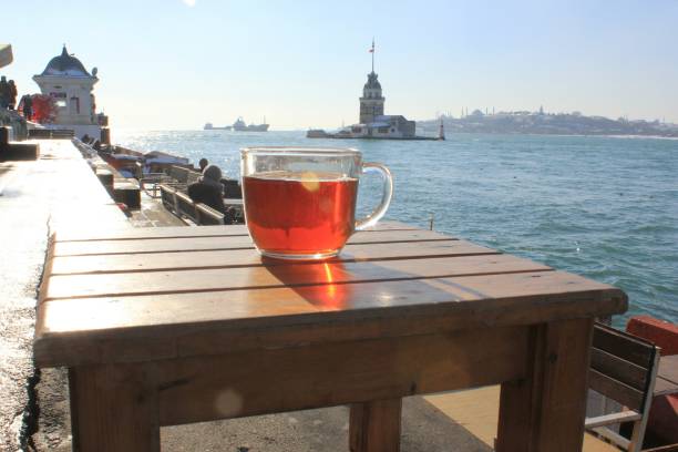 istock Istanbul Maiden's Tower 1173574046