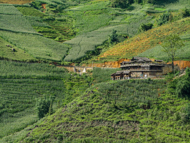 istock Vietnam Sapa Rice fields view with a Homestay 1173574298
