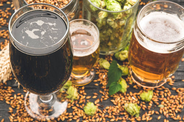 istock Glass of beer and its ingredients on table against blurred background 1173574765