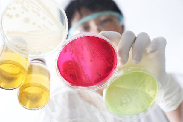 istock A woman doing a microbiological test in a laboratory 1173578155