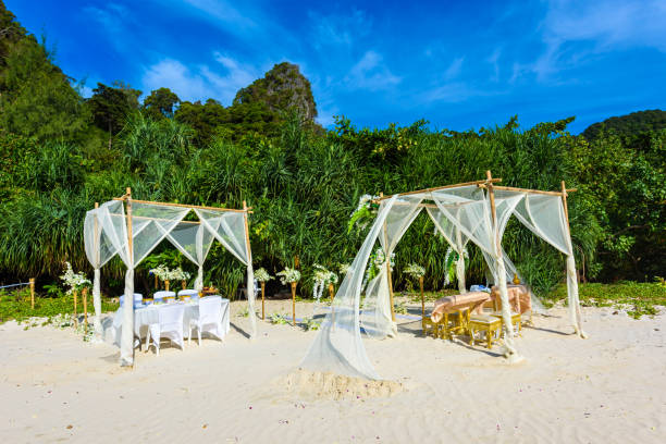 limestone karst rocks at ao phra nang beach with thai traditional wooden longtail boat on railay peninsula, close to ao nang, krabi province, andaman sea, thailand - phuket province beach blue cliff imagens e fotografias de stock