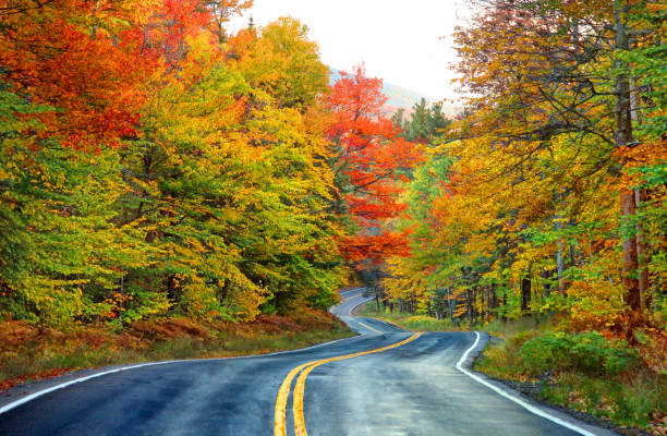 route d'automne scénique dans les mountians blancs du new hampshire - autumn landscape usa country road photos et images de collection