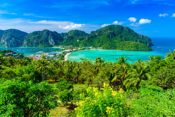 istock Koh Phi Phi Don, Viewpoint - Paradise bay with white beaches. View from the top of the tropical island over Tonsai Village, Ao Tonsai, Ao Dalum. Krabi Province, Thailand. 1173580415