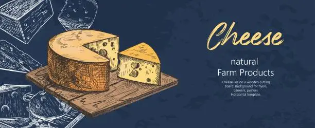 Vector illustration of Cheese lies on a wooden cutting board. Different varieties of cheese. Vintage.