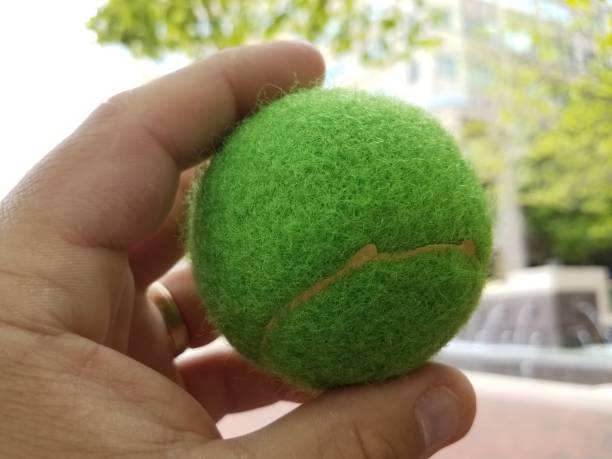 istock hand holding a green tennis ball 1173580874