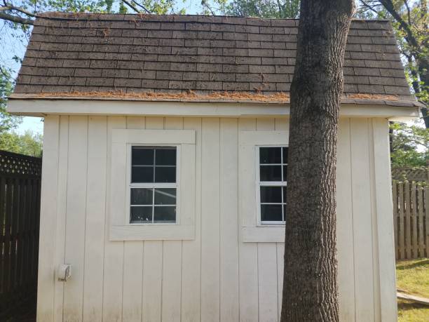 istock white shed with pollen on the roof 1173581453