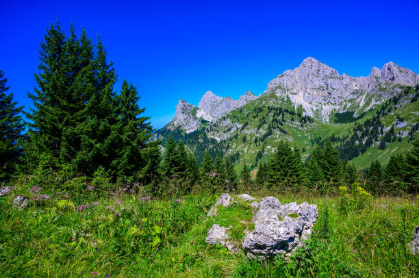 beautiful mountain scenery at reutte in alps, tyrol, austria. - hahnenkamm imagens e fotografias de stock