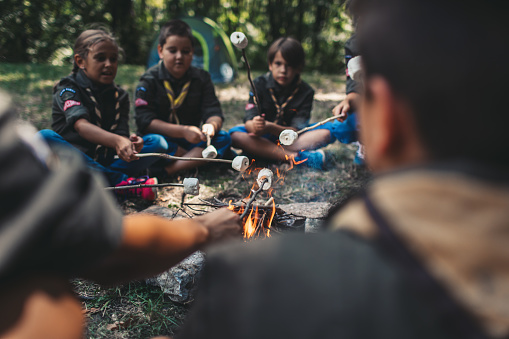 Group of scouts roast marshmallow candies on campfire in forest.