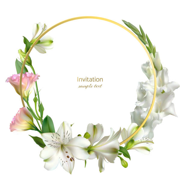 illustrations, cliparts, dessins animés et icônes de des fleurs blanches. gladiolus. fond floral. eustome. lis. feuilles vertes. - gladiolus flower beauty in nature white background