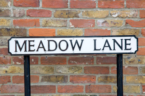 istock Meadow Lane Street Sign 1173584322