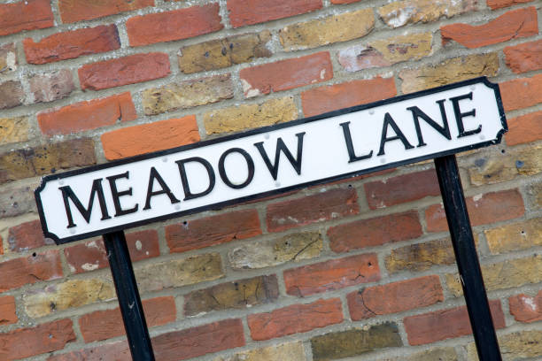 istock Meadow Lane Street Sign 1173584392