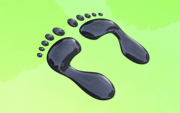 Yeti Foot prints border the white background. Steps hairy man tracks.