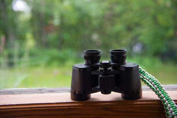 istock Close up of binoculars on a window sill 1173585691