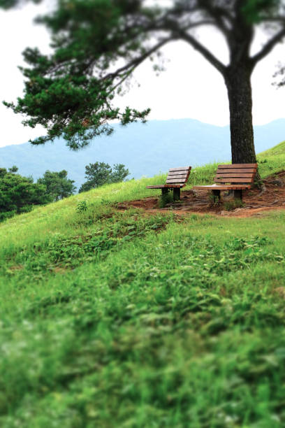 istock Jisandong Ancient Tombs 1173587817