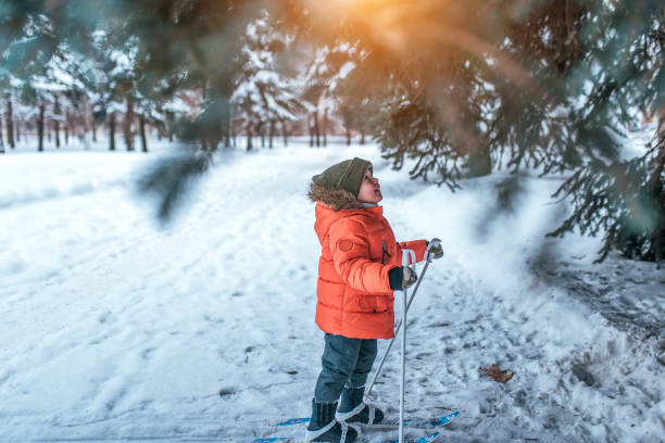 A little boy 3-5 years old, stands in children's skiing in winter, looks up at green tree, looks surprised and happy at snow, snowdrifts, happiness is a child s game. stock photo