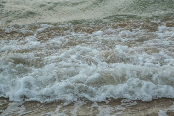istock background of waves beating on a sandy beach in stormy weather 1173589331