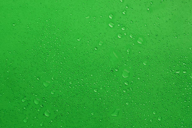 istock Water Drops On green Background, Texture colorful waterdrop. 1173593487