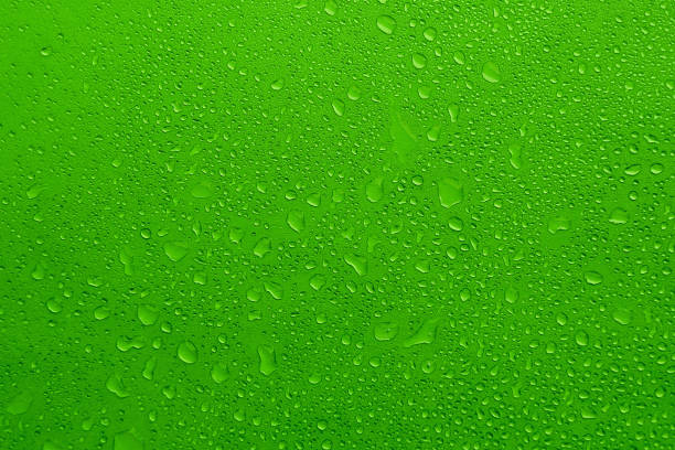istock Water Drops On green Background, Texture colorful waterdrop. 1173594488