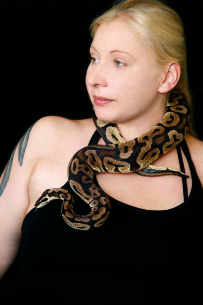 istock Portrait of girl with Royal Python snake. Woman holds Ball Python snake around neck and in hands, posing in front the camera. Exotic tropical cold-blooded reptile animal, Python regius species snake. 1173594907