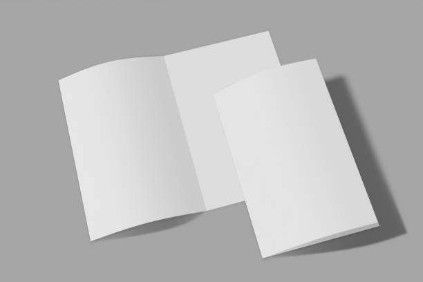 istock Two Mockup vertical booklet, brochure, invitation isolated on a grey background with soft cover and realistic shadow. 3D rendering. 1173594917