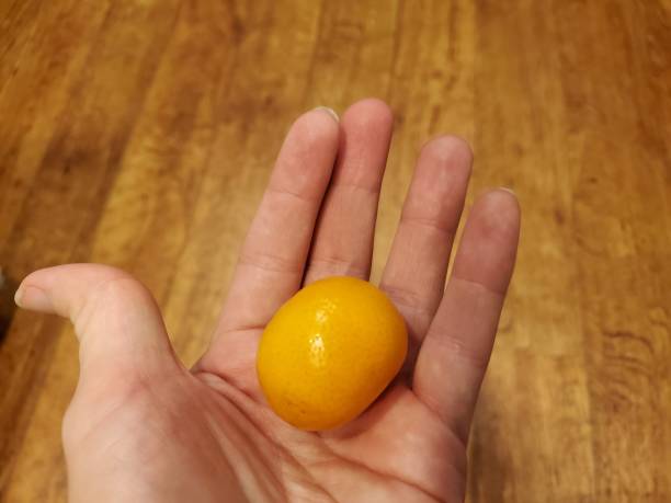 istock Human Hand With Mandarin Orange 1173595837