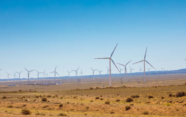 istock Wind turbine farm in desert 1173597594