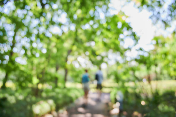 Abstract Park landscape Out of focus Bokeh
