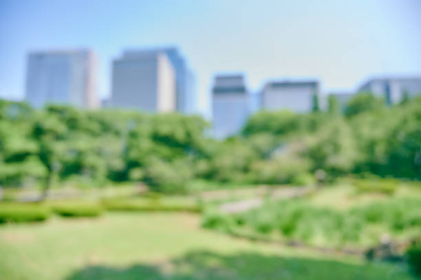 Abstract Park landscape Out of focus Bokeh